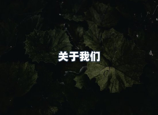 关于我们